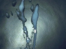 a6a6a7a8a9a gif