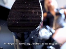 femdom boots licking cleanup gif