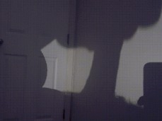 Tini Anakondu gif