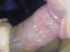 Drool bbc gif