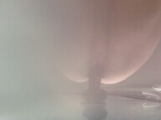 PAWG squirts gif