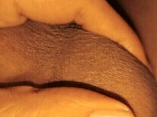 my big dick gif