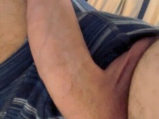 show me your cock gif