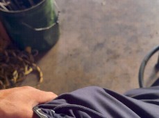 show me your cock gif