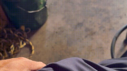 show me your cock