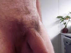show me your cock gif
