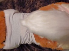 Furry Deer Gets Fucked gif