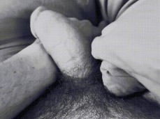 Surprise!!! Morning Wood!!! gif
