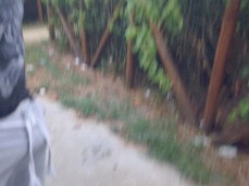Paja arriesgada gif