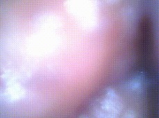thrust gif