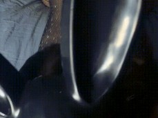 Horny blowjob gif