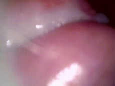 cum_inside gif