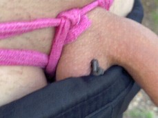 Minipolla gif