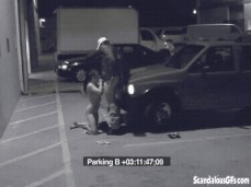 Whore sucks in public gif