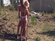 great clip gif