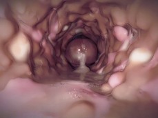 POV Ass gif