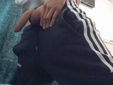 show me your cock gif