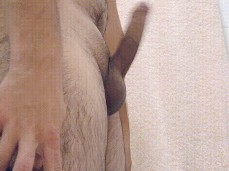 show me your cock gif