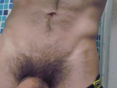 show me your cock gif