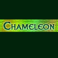 Chameleon avatar