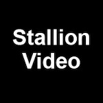Stallion Video avatar