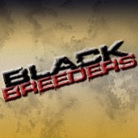 Black Breeders Profile Picture
