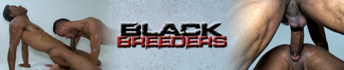 Black Breeders cover