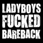 Ladyboys Fucked Bareback avatar