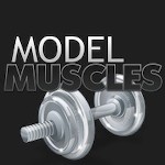 Model Muscles avatar