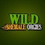 Wild Shemale Orgies