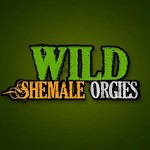 Wild Shemale Orgies avatar