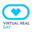 Virtual Real Gay