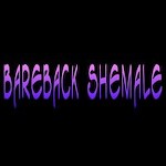 Bareback Shemales avatar