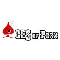 Aces Of Porn - Canal