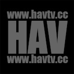 HAV TV avatar