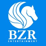 BZR Entertainment avatar
