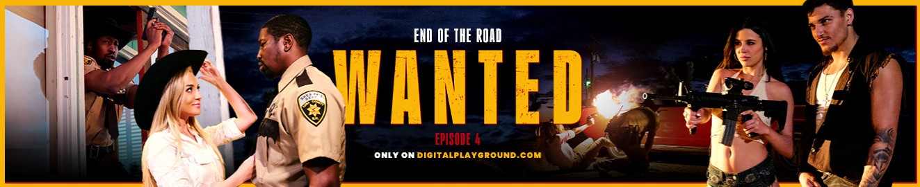 Digital Playground cover