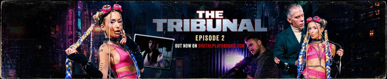 Digital Playground cover