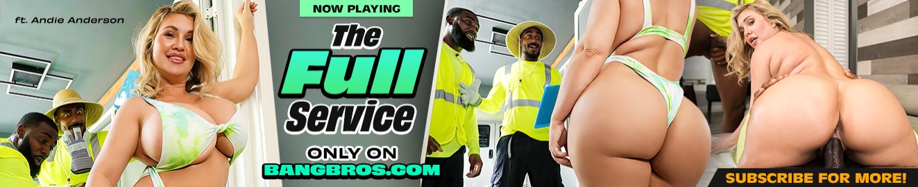 Bang Bros Network cover