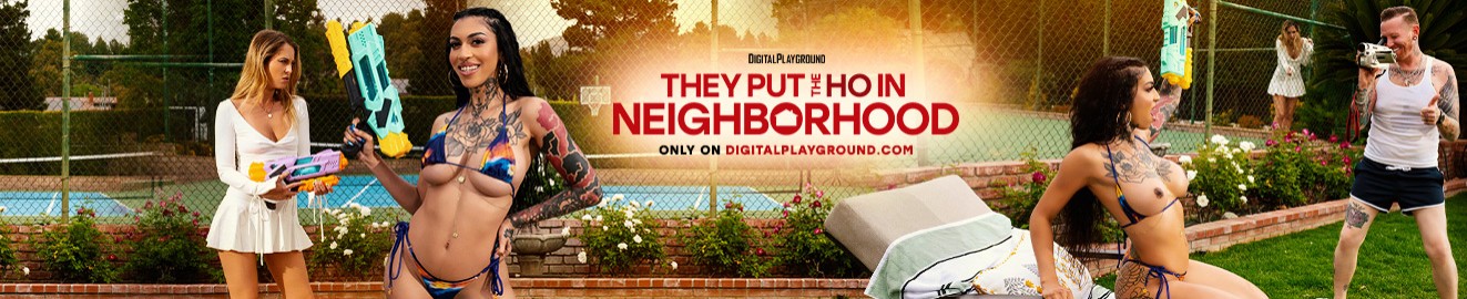 Digital Playground cover