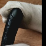 Dirtysox13