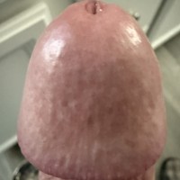 PurpleHeadedMnster