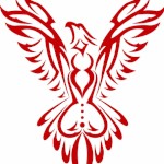 wildphoenixxx