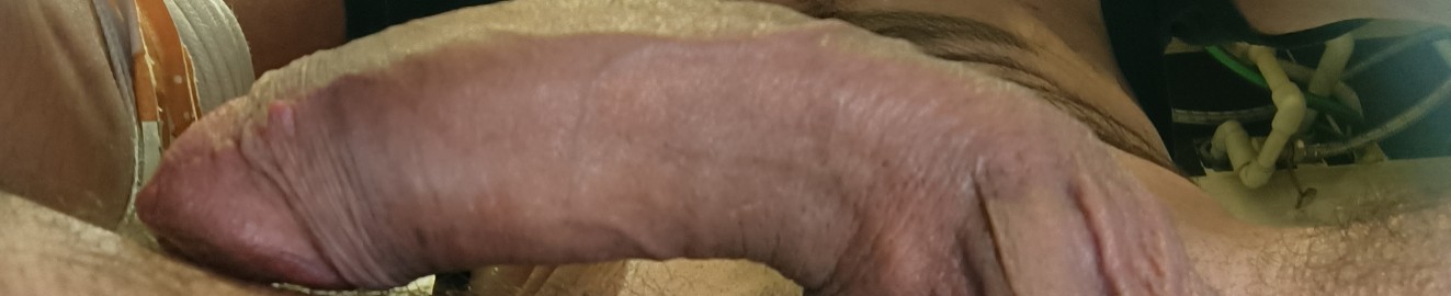 Panoramix