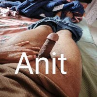 Anit80382