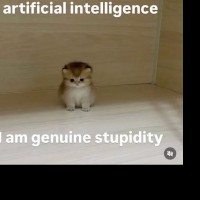 LittleNymph19