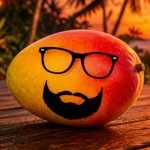 Mr Mango Jr