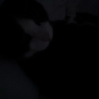 S3xD0ll