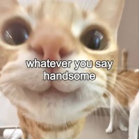 CandyCheex
