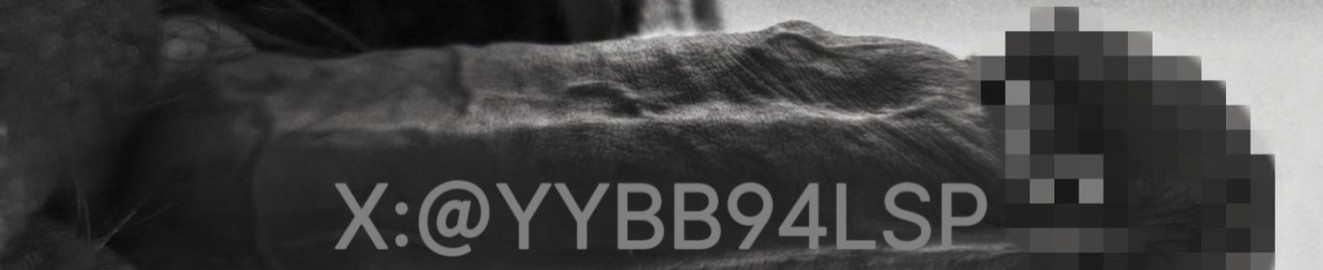 YYBB94LSP